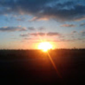 Meet your Posher, Luminescence